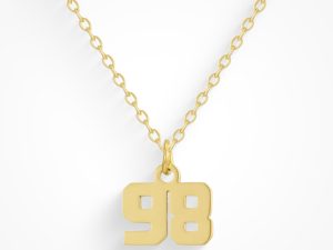 Custom/Personalized Number Pendant Necklace